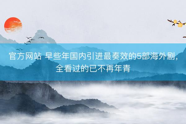 官方网站 早些年国内引进最奏效的5部海外剧，全看过的已不再年青