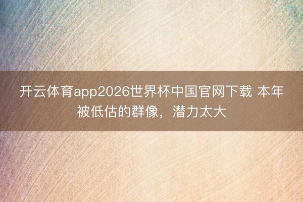 开云体育app2026世界杯中国官网下载 本年被低估的群像，潜力太大