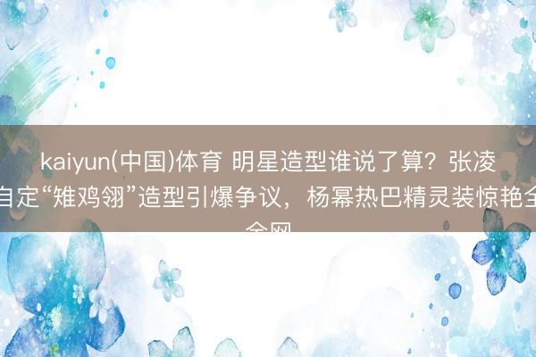 kaiyun(中国)体育 明星造型谁说了算？张凌赫自定“雉鸡翎”造型引爆争议，杨幂热巴精灵装惊艳全网