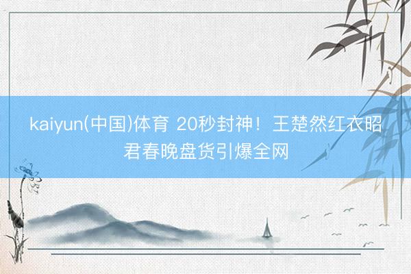 kaiyun(中国)体育 20秒封神！王楚然红衣昭君春晚盘货引爆全网