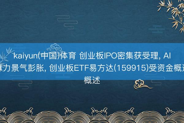 kaiyun(中国)体育 创业板IPO密集获受理， AI算力景气彭胀， 创业板ETF易方达(159915)受资金概述