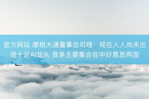官方网站 摩根大通董事总司理：现在人人尚未出现十足AI龙头 竞争主要集合在中好意思两国