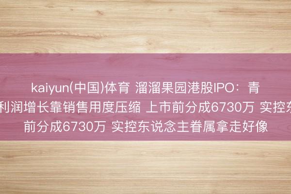 kaiyun(中国)体育 溜溜果园港股IPO：青梅龙头收入增速放缓 利润增长靠销售用度压缩 上市前分成6730万 实控东说念主眷属拿走好像