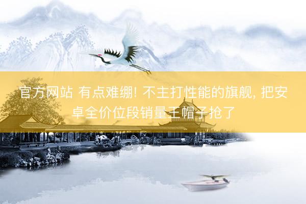 官方网站 有点难绷! 不主打性能的旗舰， 把安卓全价位段销量王帽子抢了